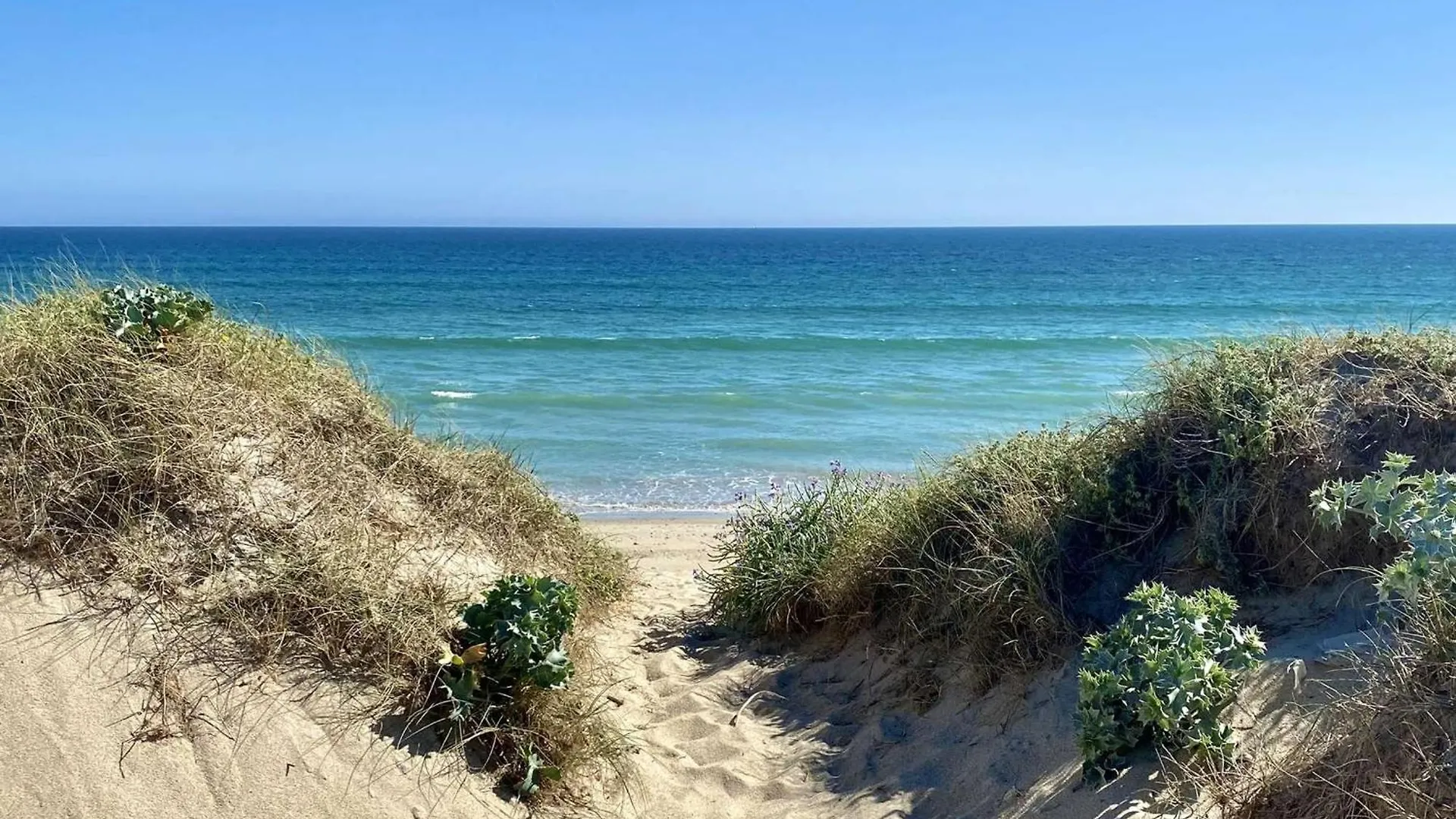 Apartment Etel : Appart. 2P Avec Terrasse Sud, Parking & Petit Chien Bienvenu - Fr-1-479-218 France